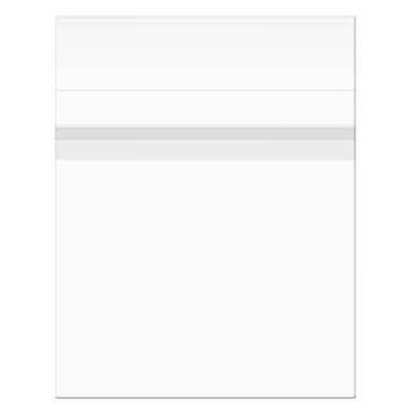 Plastiek Zakken 31,6x31cm Transparant en Hersluitbaar (100 stuks) [B12XPC]