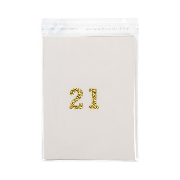 Plastiek Zakken 12,5x15,5cm Transparant en Hersluitbaar (100 stuks) [B5B1]