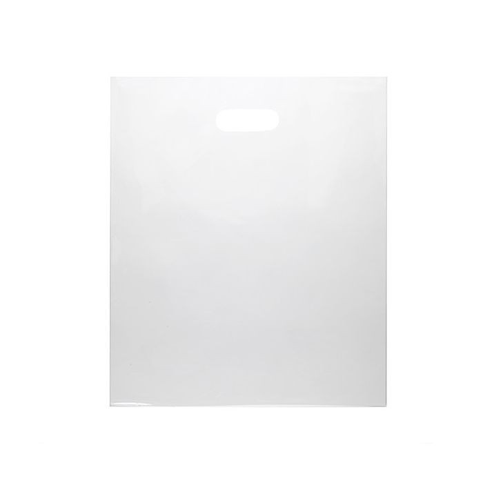 Draagtassen Plastiek Helder 22,9x30,5cm 60 Micron LDPE (100 stuks) [H912CL1]