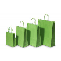 Draagtassen Papier Groen 22+10x31cm Kraft Papier 90 grams (50 stuks) [PAM2231GR]