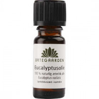 Eucalyptus olie, natuurlijk, 10ml [HOB-70217]