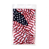Reclosable cello bags 16.8 x 24.1 + flap (100 pieces) [B69M]
