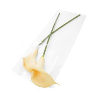 Plastiek Zakken 21,9x59,7cm Transparant en Hersluitbaar (100 stuks) [B823]