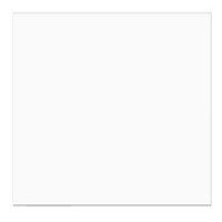 Plastiek Zakken 12,4x12cm Transparant (100 stuks) [B44NFXL]