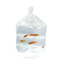 Heavy Duty Square Bottom Bags 31.8 x 36.8 x 62.2cm (100 Pieces) [3GSBW5]