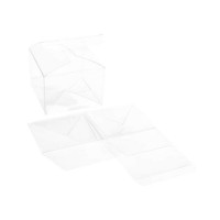 Plastiek Doosjes 10,2x10,2x7,6 mm Kristalhelder Autolock Bodem (25 stuks) [PLB333]