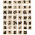 Foam stempels, afm 3x3 cm, dikte 13 mm, 41div [HOB-28548]