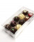 Plastiek Doosjes voor "chocolade" Truffels 10,8x4,1x21,6cm met Interieur (100 stuks) [CNDY193]