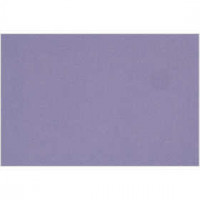 Frans karton, A4 210x297 mm,  160 gr, Blue Berry, 1vel [HOB-294113]