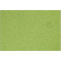 Frans karton, A4 210x297 mm,  160 gr, Apple Green, 1vel [HOB-294475]