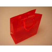 Geschenktassen 16x7,6x16cm met Draagkoorden (10 stuks) [G66RD1]
