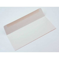 #10 Square Flap Premium Opaak24.1x10.5cm