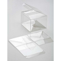 Plastiek Doosjes 10,2x10,2x10,2cm Autolock Bodem (25 stuks) [FPLB56]